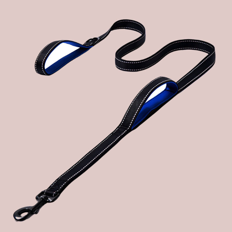 Heavy-Duty Reflective Dog Leash β Double-Thick Nylon with Safety Stitching - TruePawGear