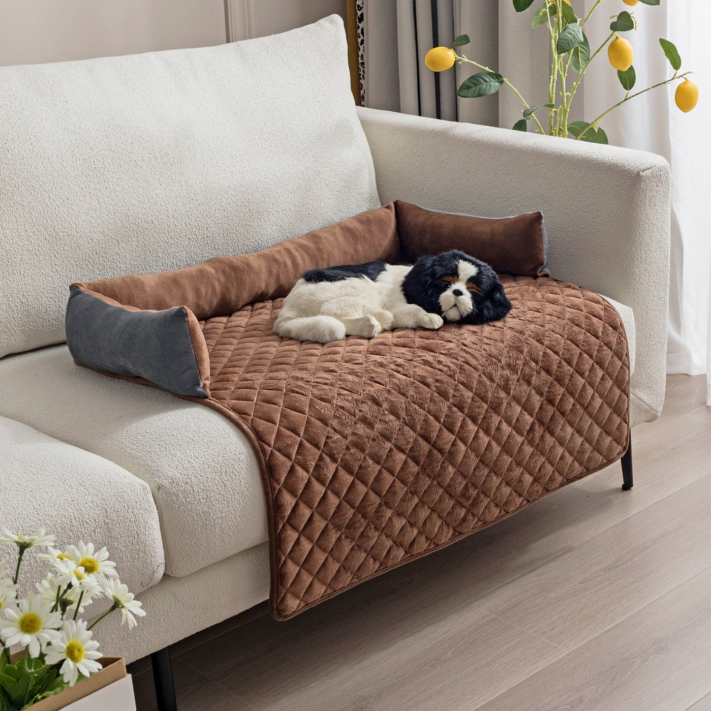 Plush Dog Sofa Bed – Furniture Protector & Cozy Lounge Pad - TruePawGear