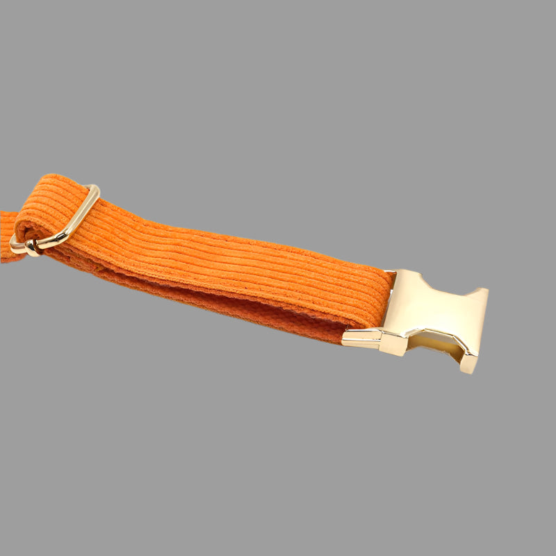 Corduroy Dog Collar β Soft Striped Design with Durable Metal Buckle - TruePawGear