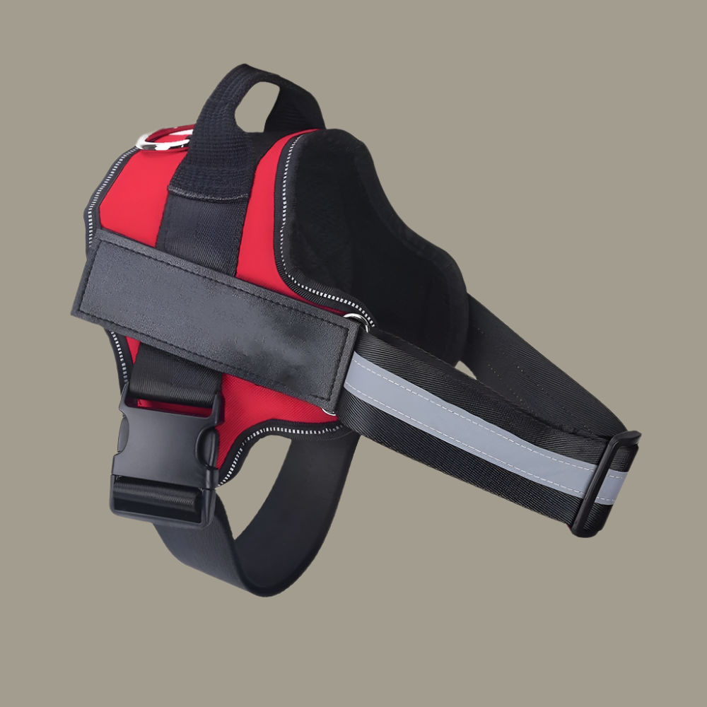 Reflective No-Pull Dog Harness – Adjustable Fit with Custom Patch - TruePawGear