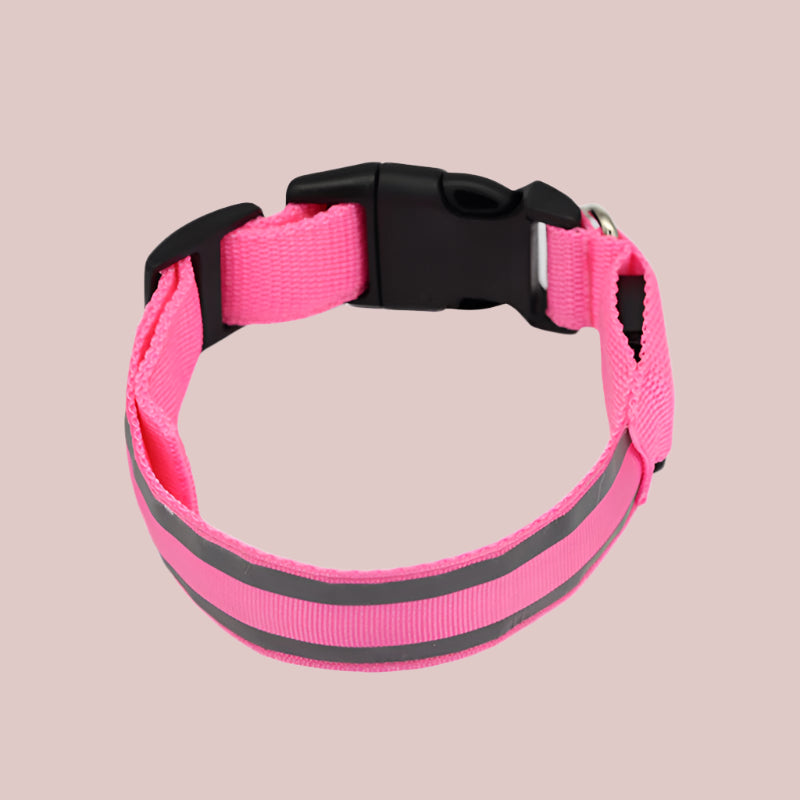 LED Light-Up Dog Collar β Anti-Lost, Rechargeable, Night Visibility Safety - TruePawGear