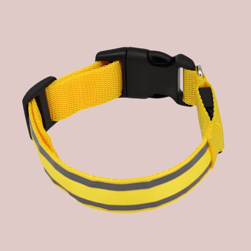 LED Light-Up Dog Collar β Anti-Lost, Rechargeable, Night Visibility Safety - TruePawGear