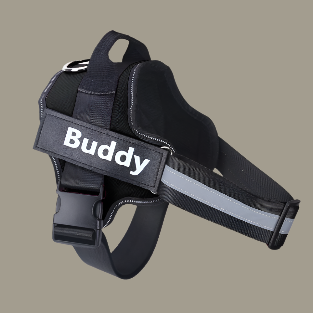 Reflective No-Pull Dog Harness – Adjustable Fit with Custom Patch - TruePawGear
