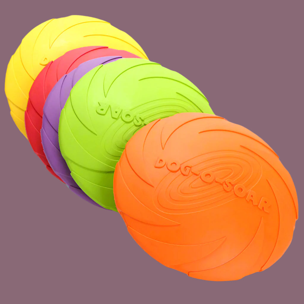 Durable Rubber Dog Training Toy β Chew-Resistant Teething & Play Toy - TruePawGear