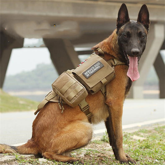 Tactical MOLLE Dog Harness – Heavy-Duty Military-Grade Vest for Large Dogs - TruePawGear