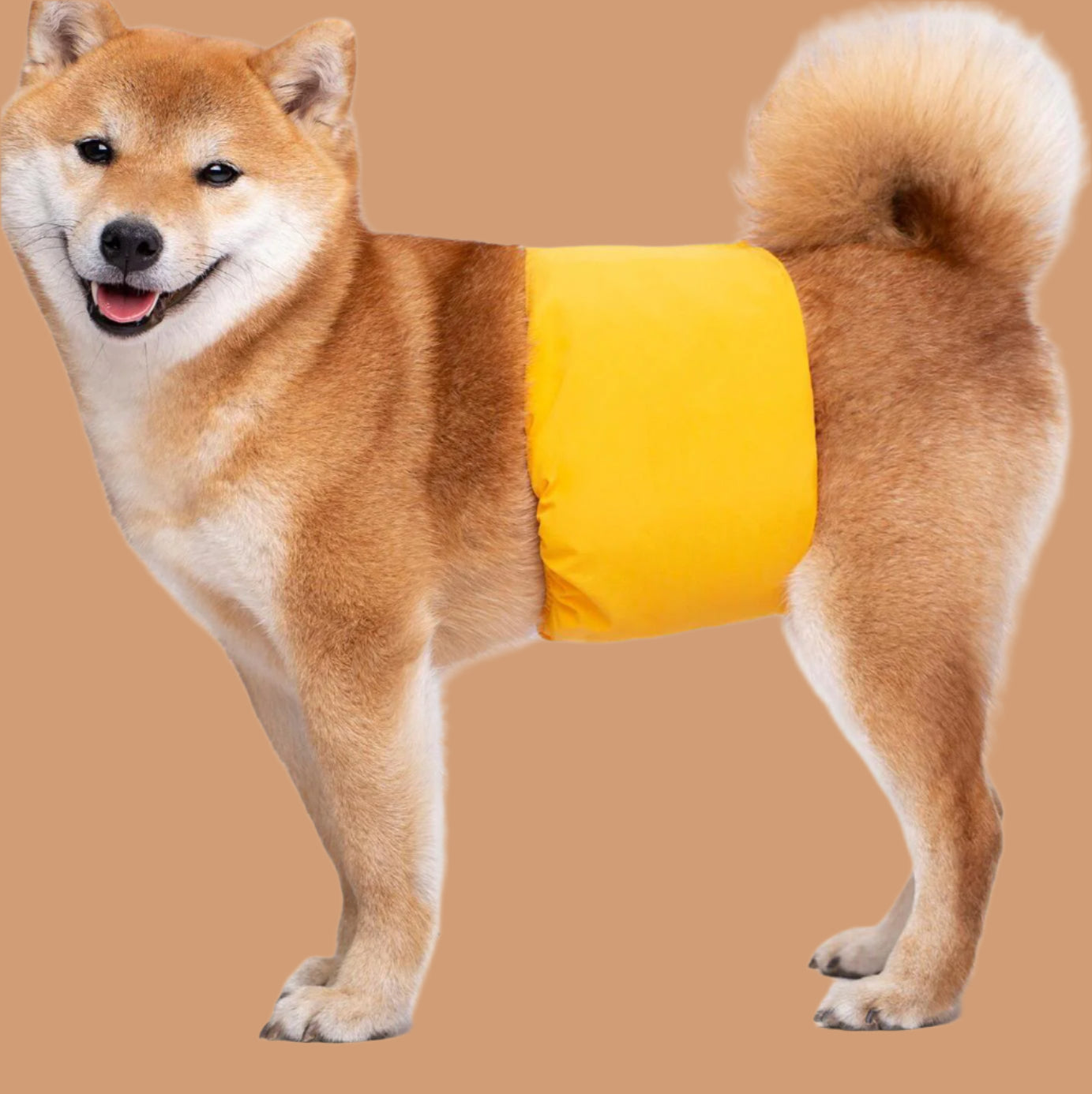 Washable Dog Diaper Belt – Adjustable Protective Wrap for Male Dogs - TruePawGear