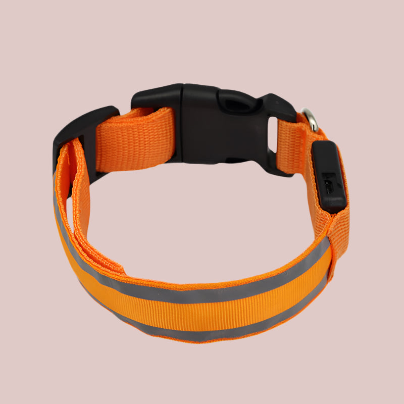LED Light-Up Dog Collar β Anti-Lost, Rechargeable, Night Visibility Safety - TruePawGear
