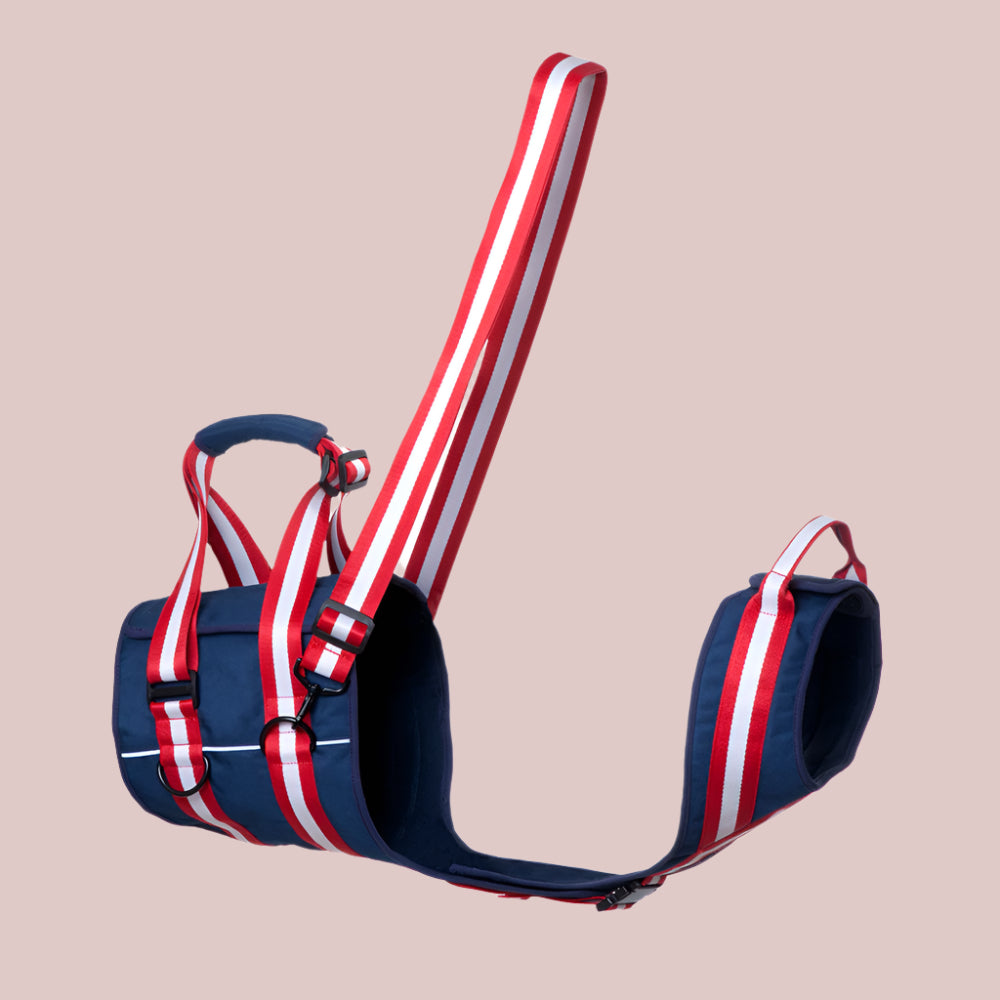 Support Harness for Elderly Dogs – Lifting Aid for Hips, Joints & Mobility - TruePawGear