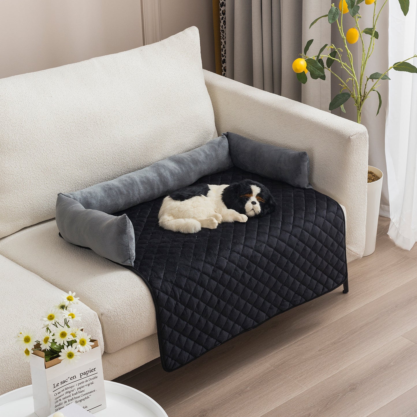 Plush Dog Sofa Bed – Furniture Protector & Cozy Lounge Pad - TruePawGear