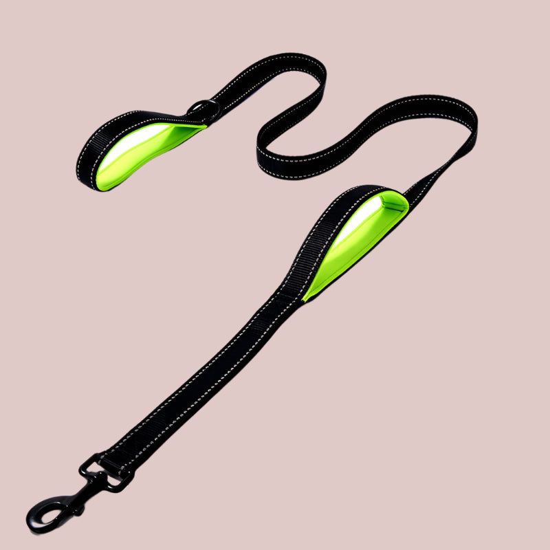 Heavy-Duty Reflective Dog Leash β Double-Thick Nylon with Safety Stitching - TruePawGear