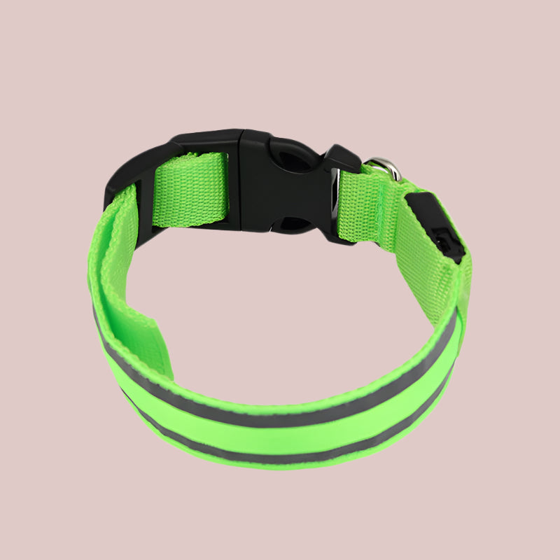 LED Light-Up Dog Collar β Anti-Lost, Rechargeable, Night Visibility Safety - TruePawGear