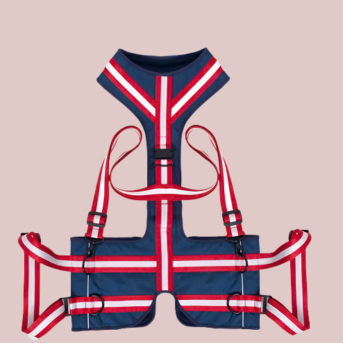 Support Harness for Elderly Dogs – Lifting Aid for Hips, Joints & Mobility - TruePawGear