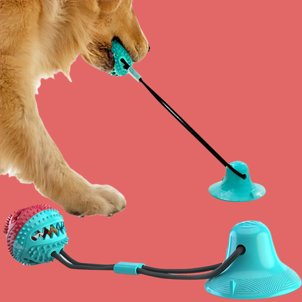 Suction Cup Tug Toy for Dogs – Interactive Ball Chew Toy with Dental Ridges - TruePawGear