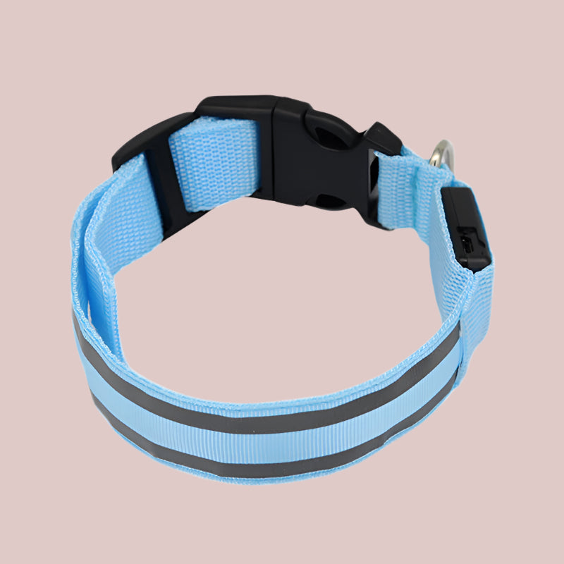 LED Light-Up Dog Collar β Anti-Lost, Rechargeable, Night Visibility Safety - TruePawGear