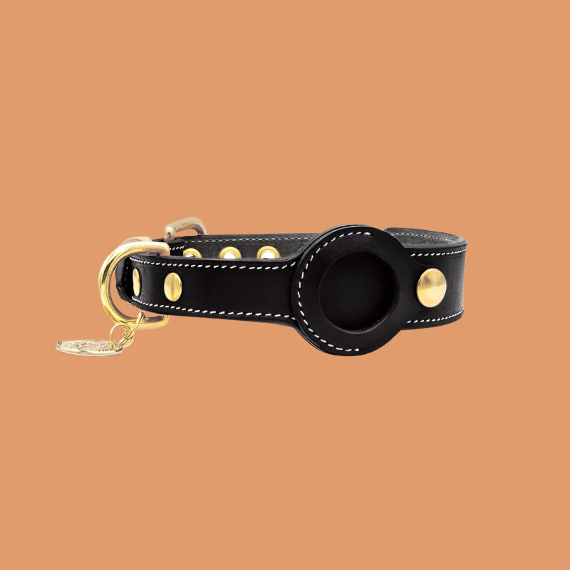 AirTag Leather Dog Collar β GPS-Ready, Adjustable & Stylish - TruePawGear