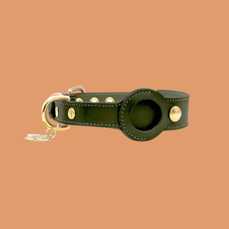 AirTag Leather Dog Collar β GPS-Ready, Adjustable & Stylish - TruePawGear
