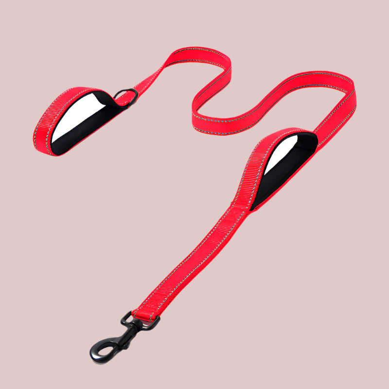 Heavy-Duty Reflective Dog Leash β Double-Thick Nylon with Safety Stitching - TruePawGear