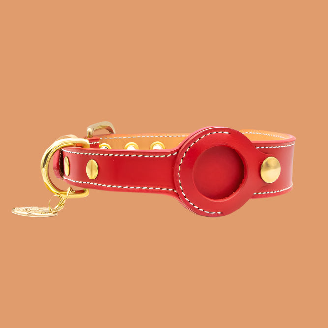AirTag Leather Dog Collar β GPS-Ready, Adjustable & Stylish - TruePawGear