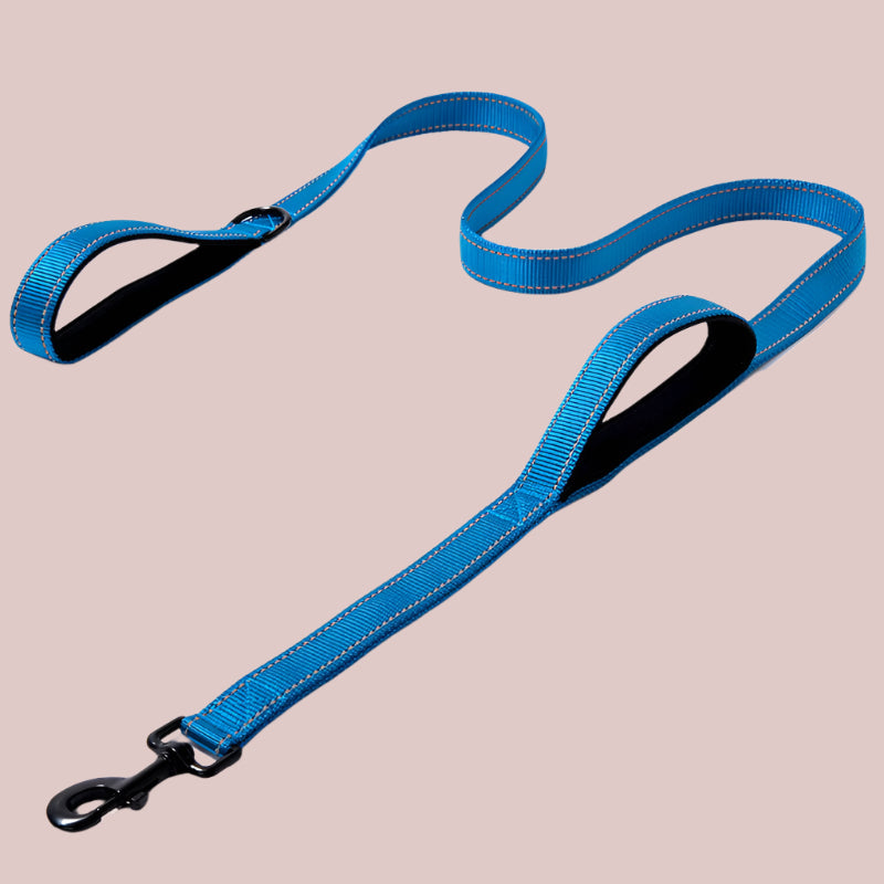 Heavy-Duty Reflective Dog Leash β Double-Thick Nylon with Safety Stitching - TruePawGear